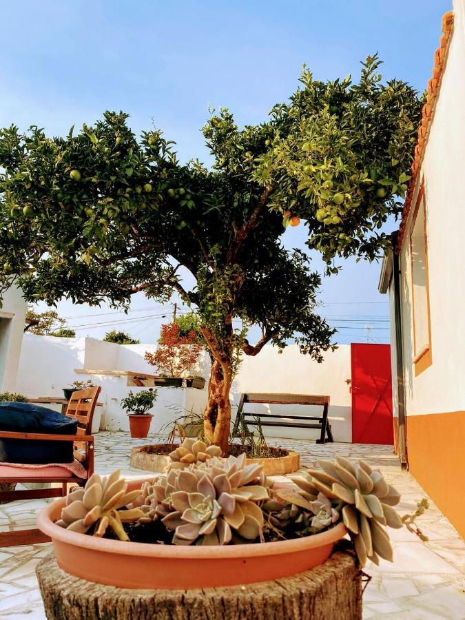 Moita Cottage Екстериор снимка