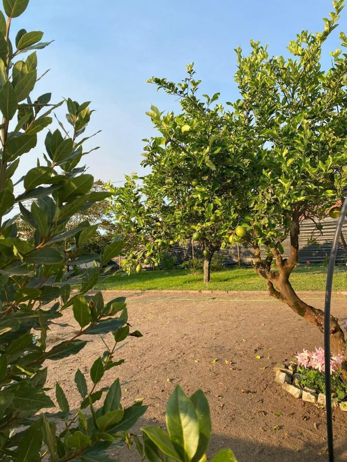 Moita Cottage Екстериор снимка